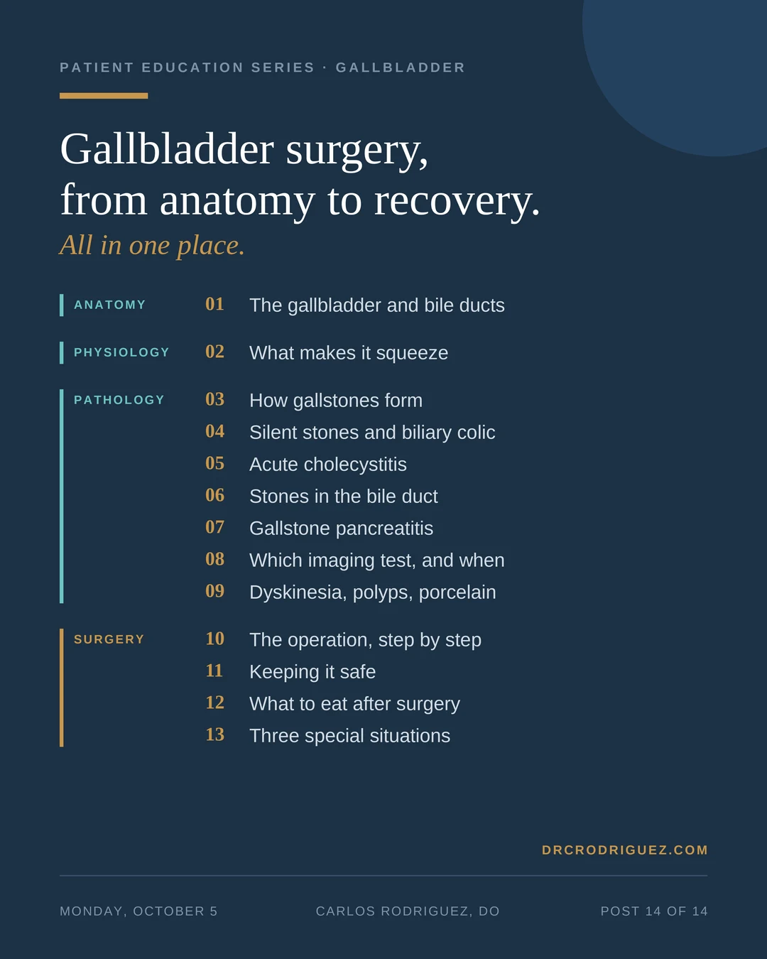 A navy card titled &ldquo;Gallbladder surgery, from anatomy to recovery. All in one place.&rdquo; It lists the 13 posts of the series under four headings. Anatomy: 1, the gallbladder and bile ducts. Physiology: 2, what makes it squeeze. Pathology: 3, how gallstones form; 4, silent stones and biliary colic; 5, acute cholecystitis; 6, stones in the bile duct; 7, gallstone pancreatitis; 8, which imaging test, and when; 9, dyskinesia, polyps, porcelain. Surgery: 10, the operation, step by step; 11, keeping it safe; 12, what to eat after surgery; 13, three special situations.