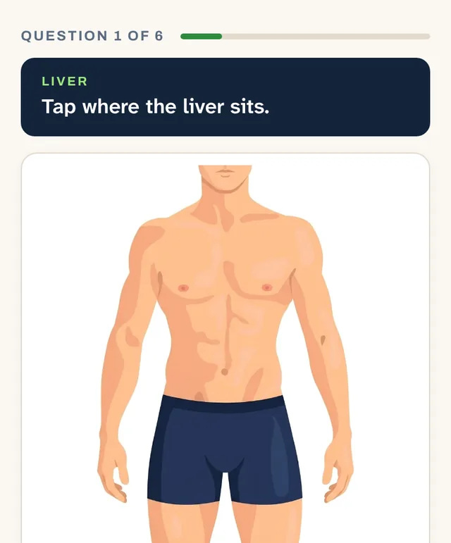 Anatomy Rounds on a phone: a prompt to tap where an inguinal hernia shows up, above a drawing of the body.